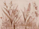 Japanese Wild Flower Meadow