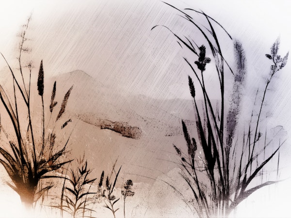 Scandinavian Plants Meadow