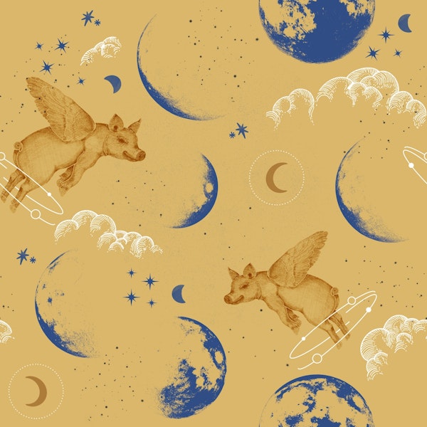 Celestial Pigs lunar ​Y