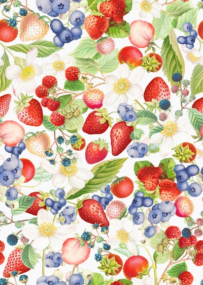 Pattern