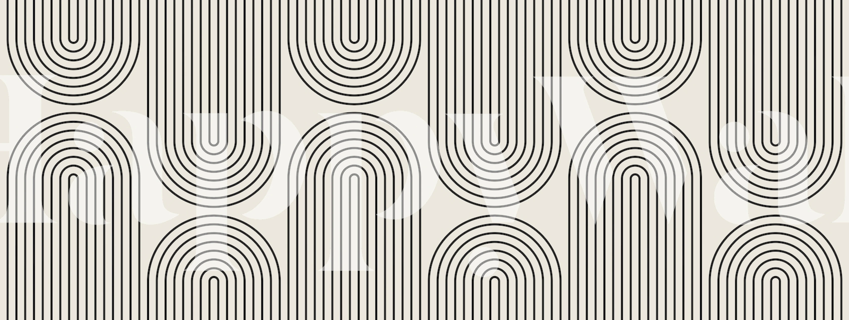 Geometric lines and circles in black and white wallpaper