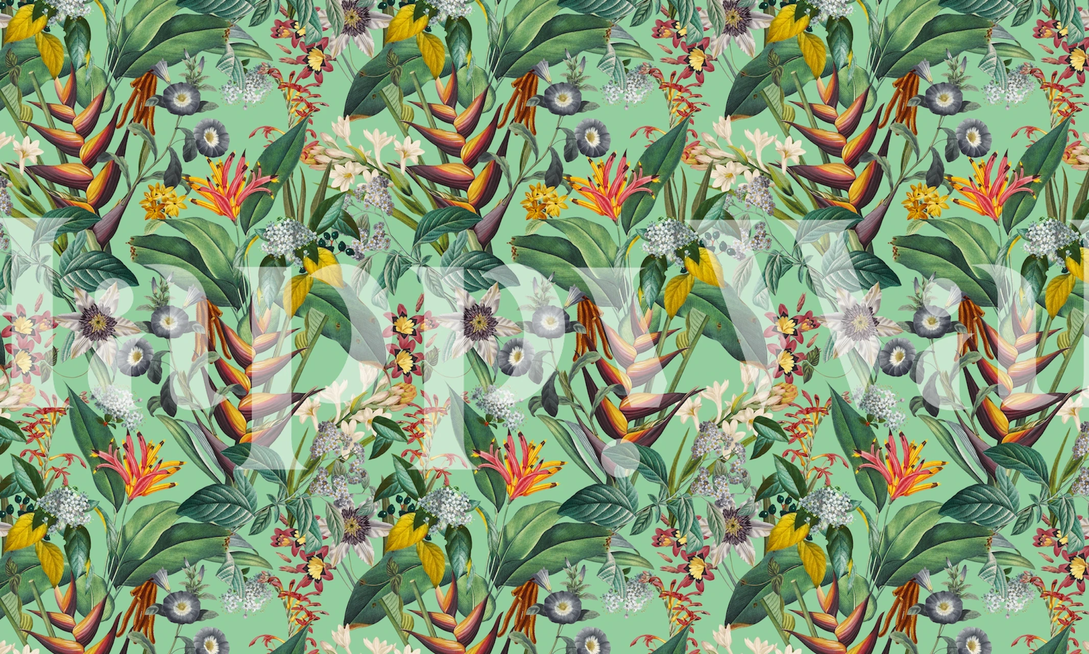 Tropical Flora I wallpaper in a room