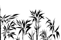 Zen Bamboo Tranquility Black And White wallpaper