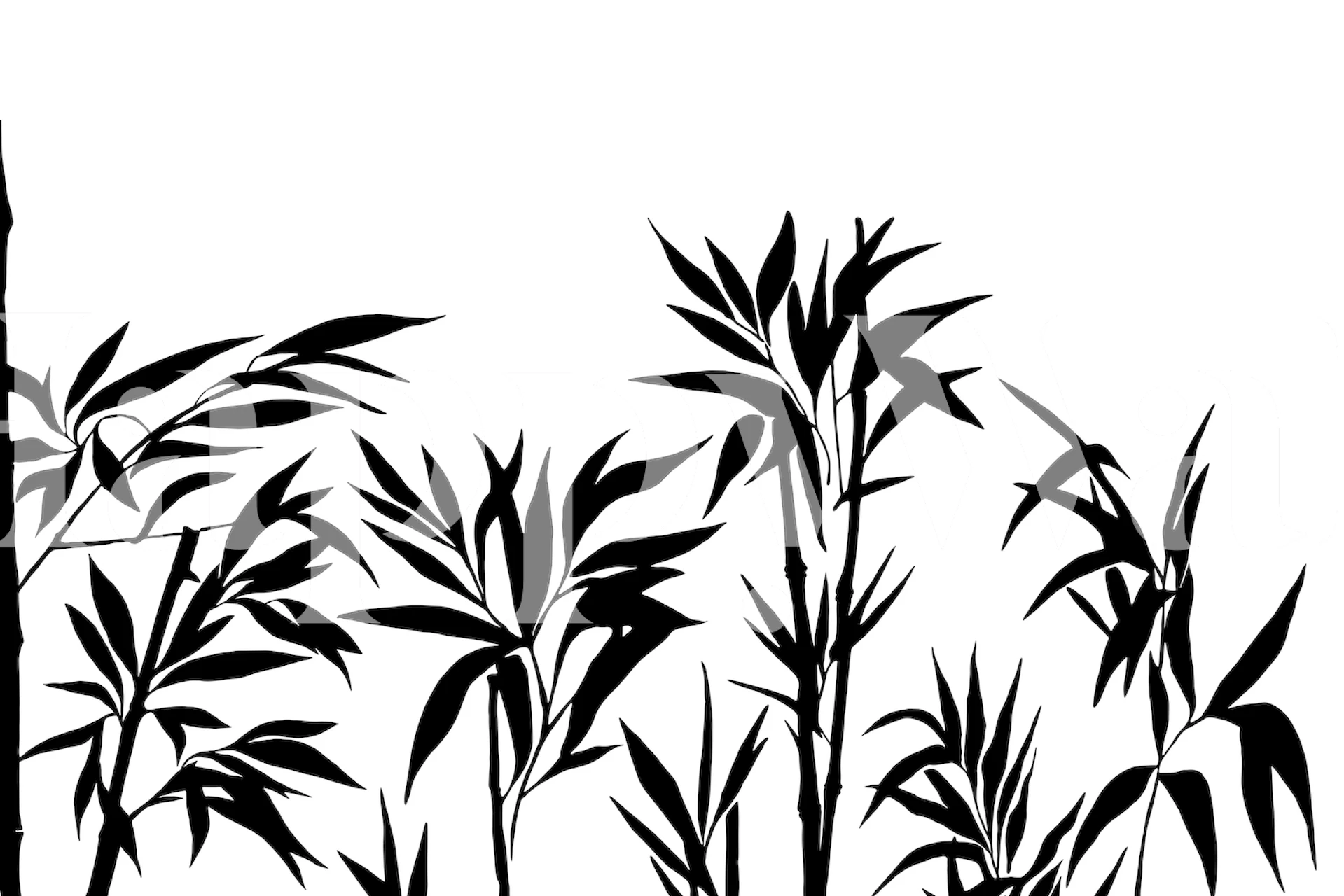 Black and white bamboo pattern wallpaper with lush leaves
