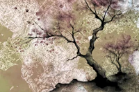 Antique Japanese Forest Surrealism wallpaper