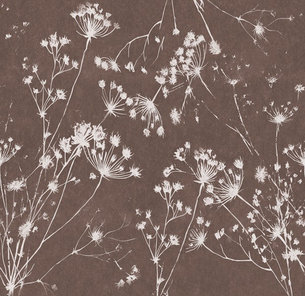 Dried Japandi Flowers