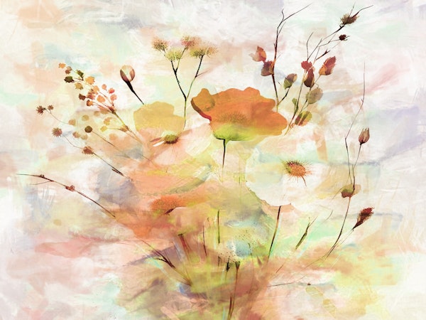 Wildflower Abstraction