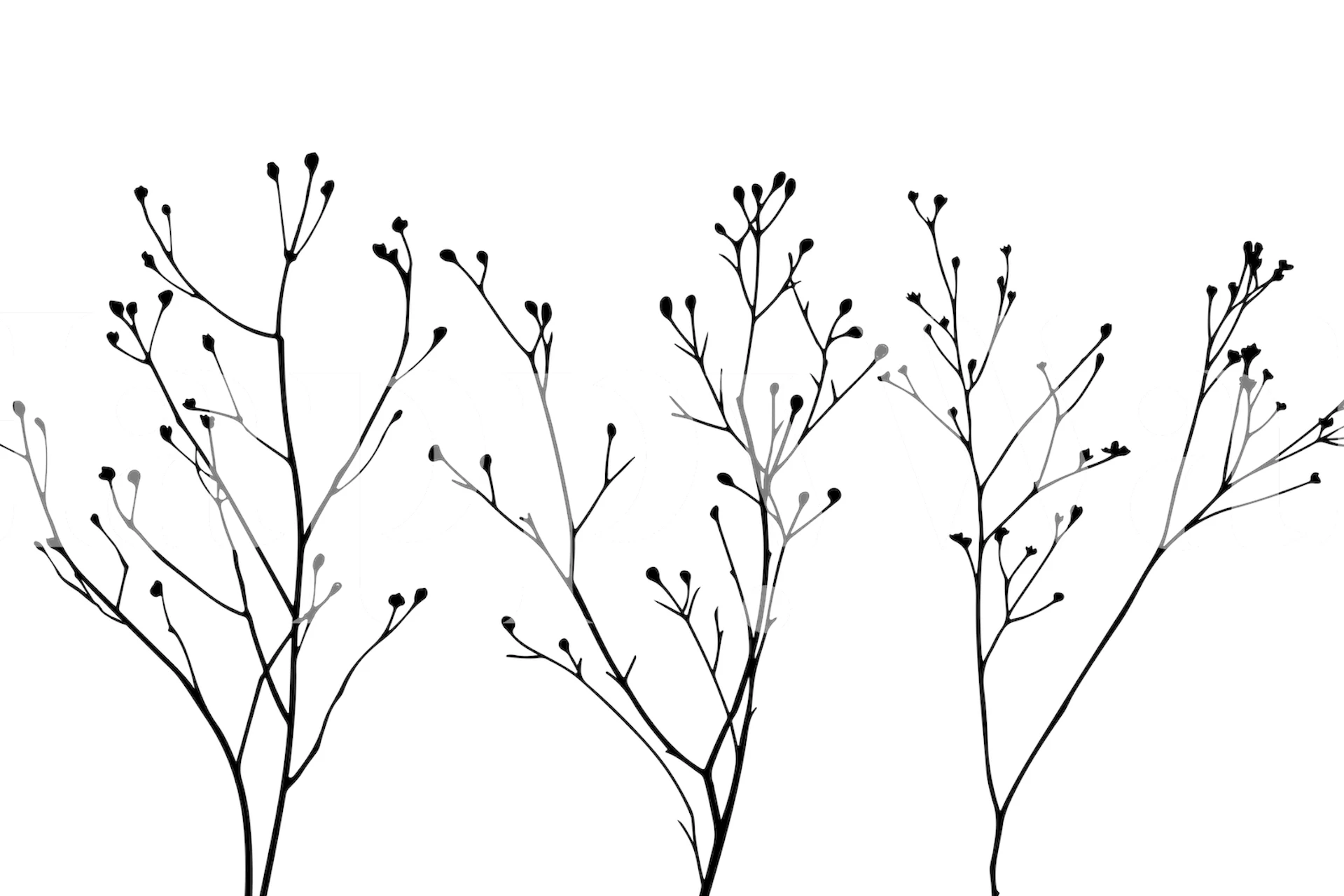 Delicate wildflower silhouettes papel tapiz