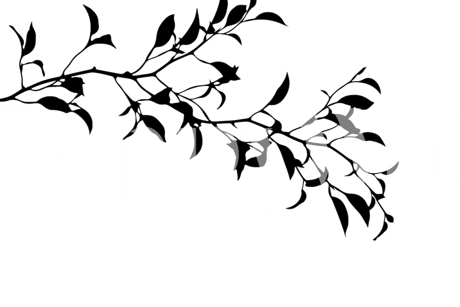 Fototapeta Černobílá silueta listí a větví