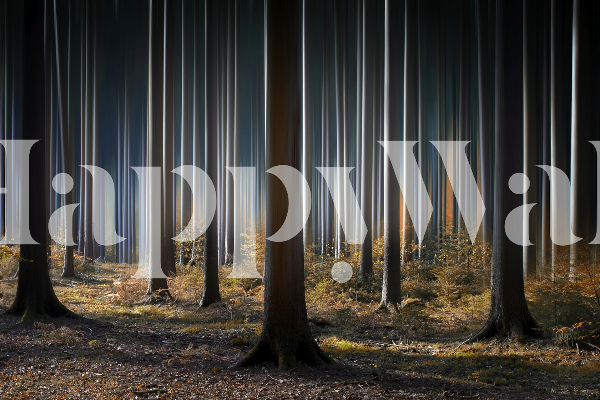 Mystic Wood wallpaper in a room setting