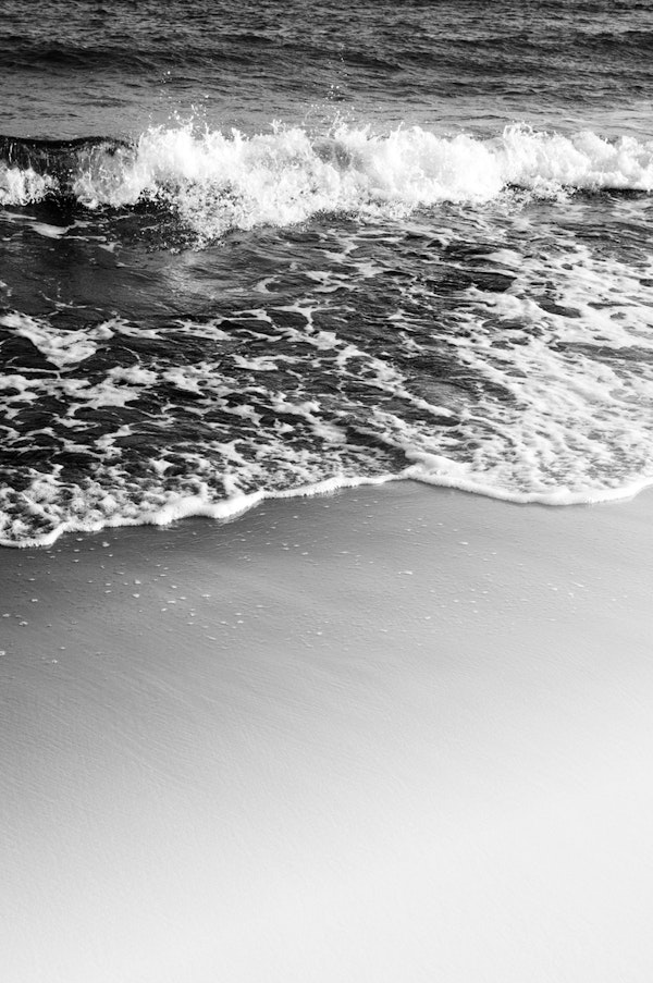 Ocean Beauty Dream 3