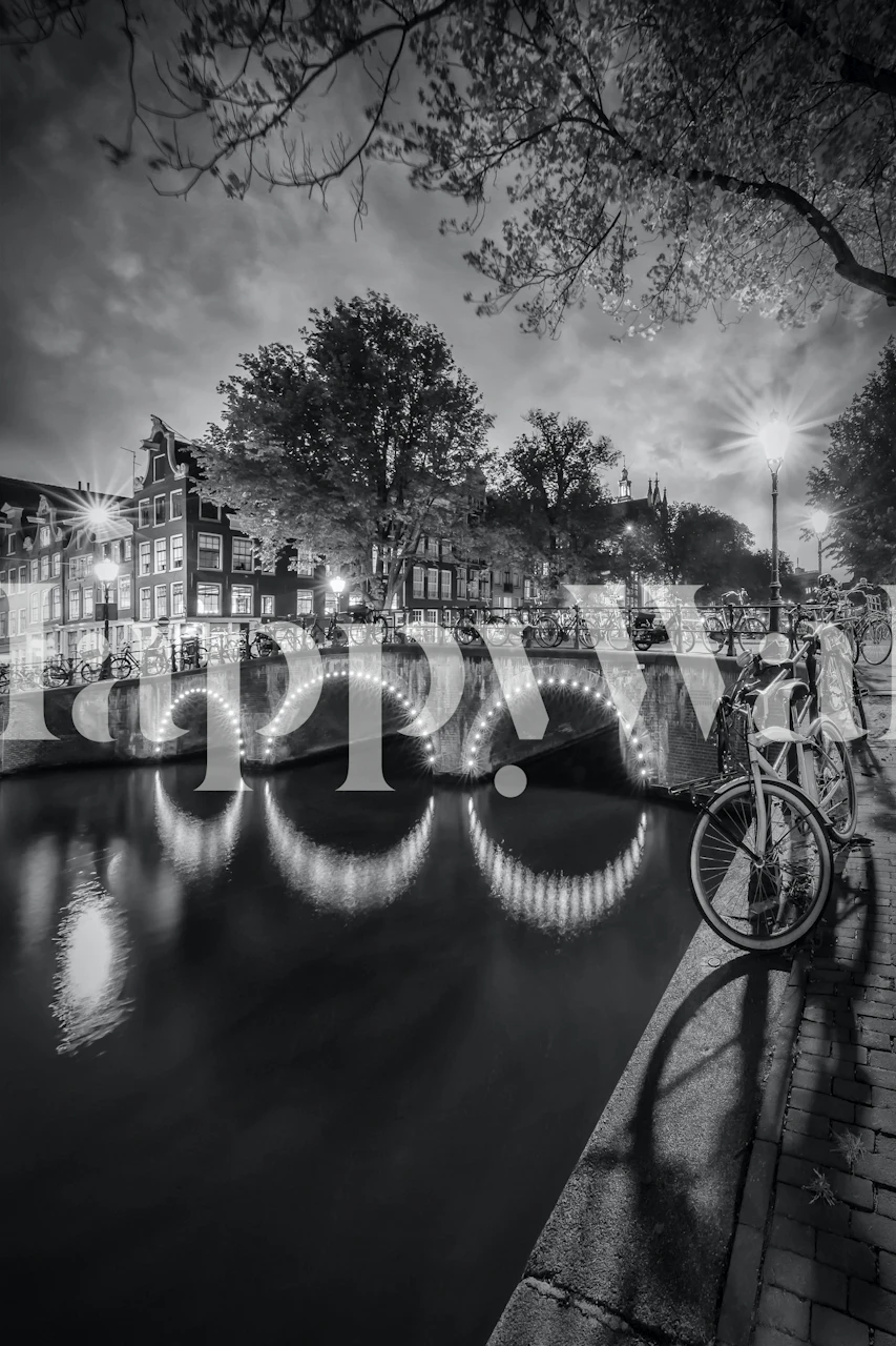 Amsterdam nightscape with illuminated bridge and trees in black and white wallpaper