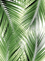 Cali Summer Vibes 2 ταπετσαρία