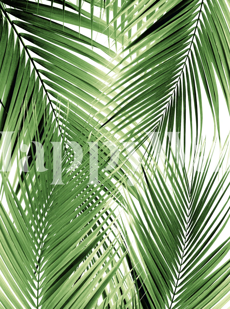 Cali Summer Vibes 2 papel tapiz con hojas de palma