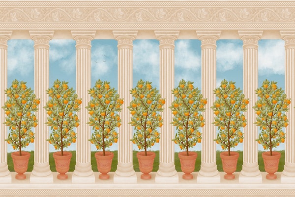 Trompe l'oeil - Italian Villa Orange Tree