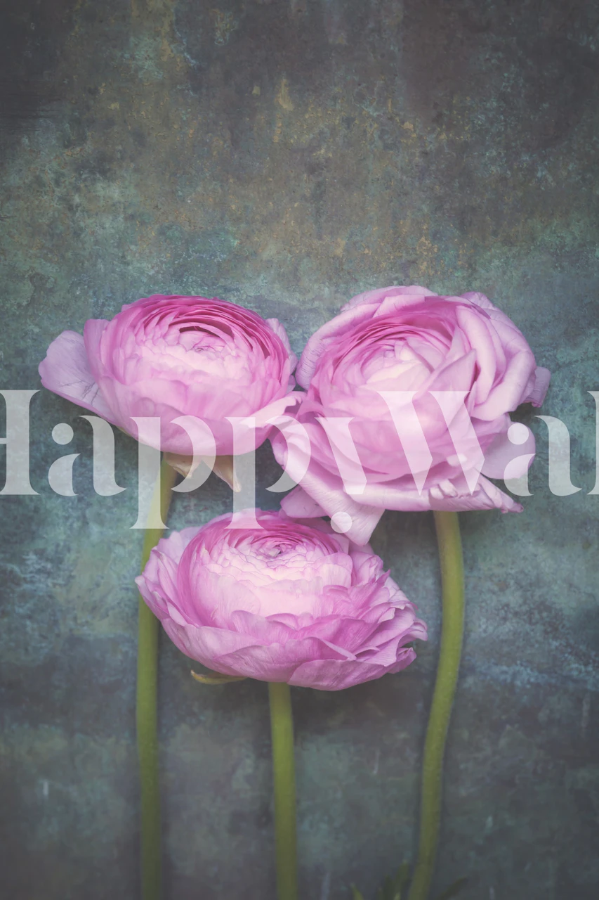 Three pink peonies wallpaper design