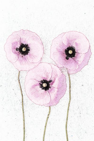 Τοιχογραφία