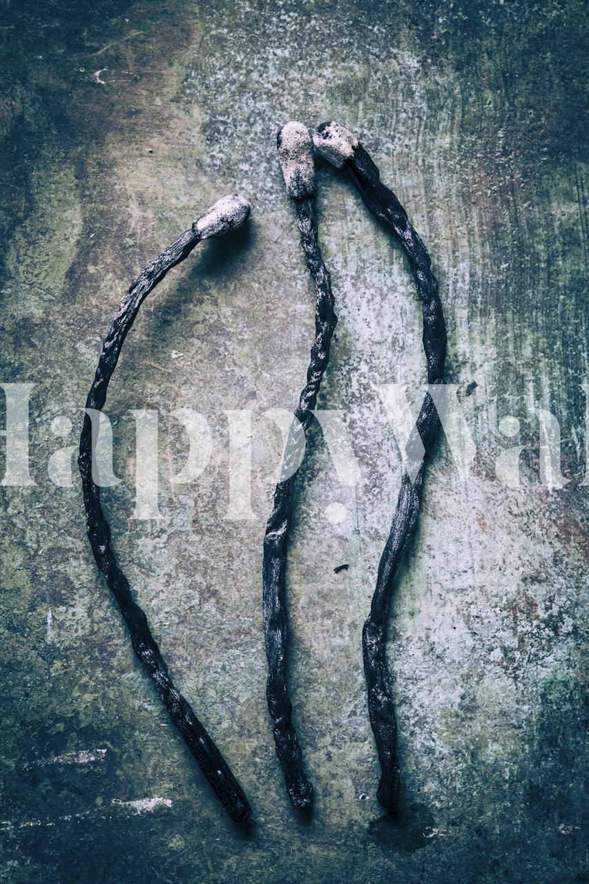 Papier peint Burnt Matches affiché dans une pièce