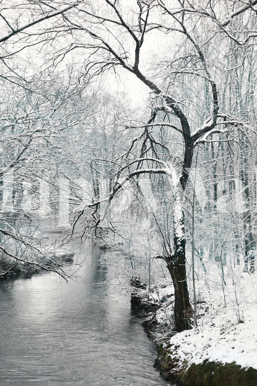 Snowy trees and river in winter setting wallpaper