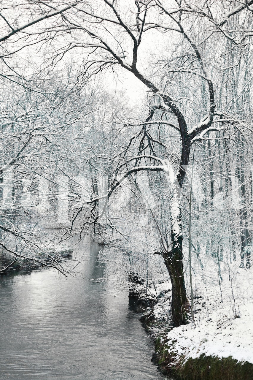 Snowy trees and river in winter setting wallpaper