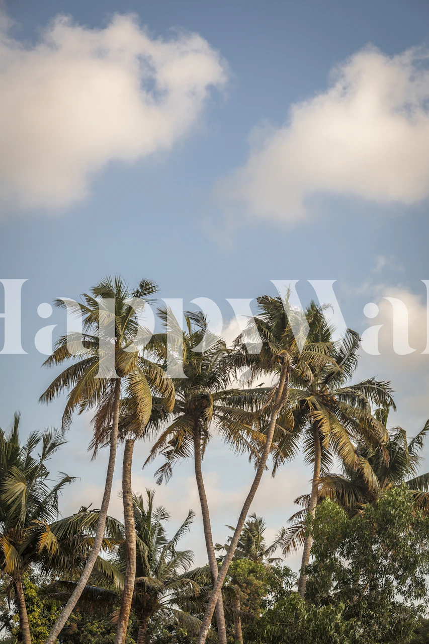 Tropical palm trees against blue sky wallpaper