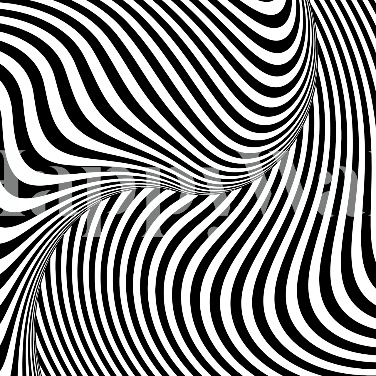 Monochrome op-art wall mural with hypnotic black and white curves