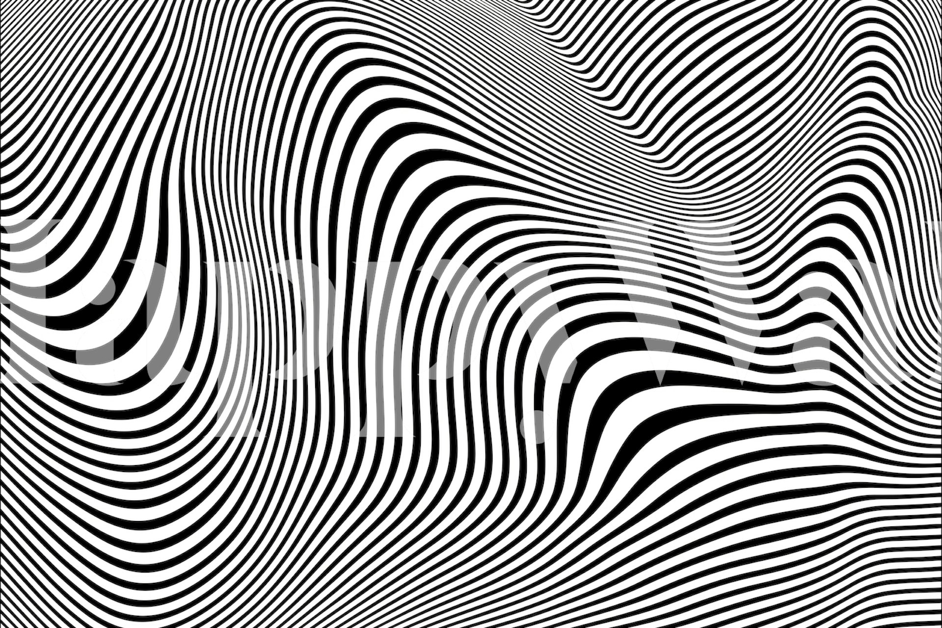 Minimalist black and white line art wallpaper