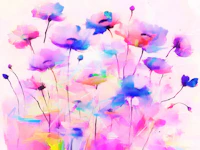 Happy Wildflower Meadow tapeta