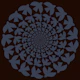 Big Black Bird Bloom
