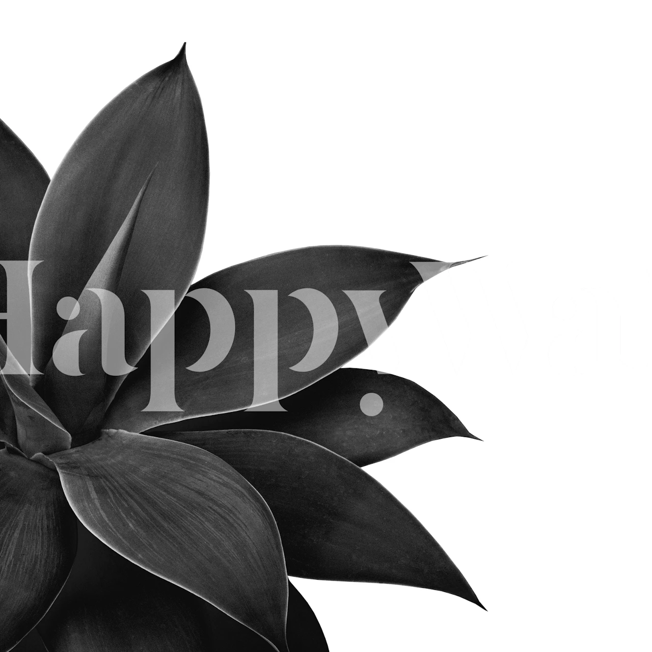 Black and white agave leaves wallpaper design