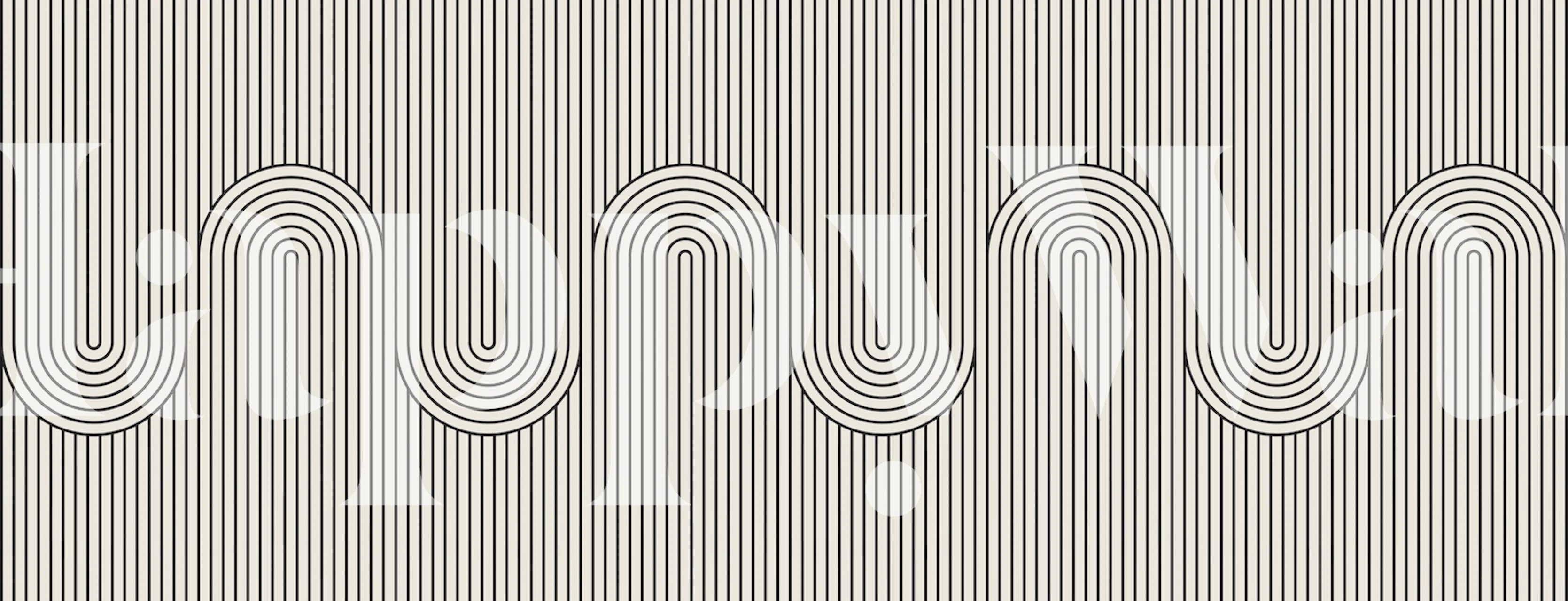 Geometric lines and curves in black and white wallpaper