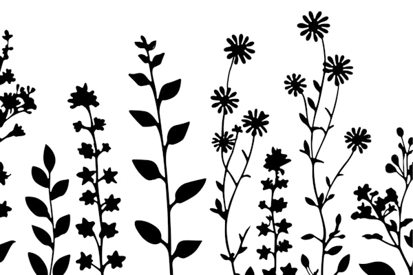 Delicate Wildflower Meadow Black White