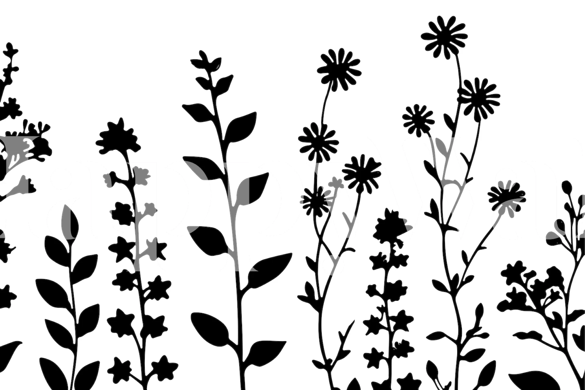 Zwart en wit Delicate Wildflower Meadow