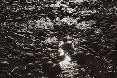 Τοιχογραφία