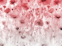 Summer Bliss tapetit