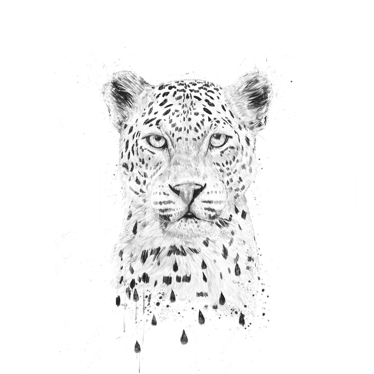 Raining Again tapet i et rum