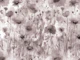 Antique Wildflower Meadow