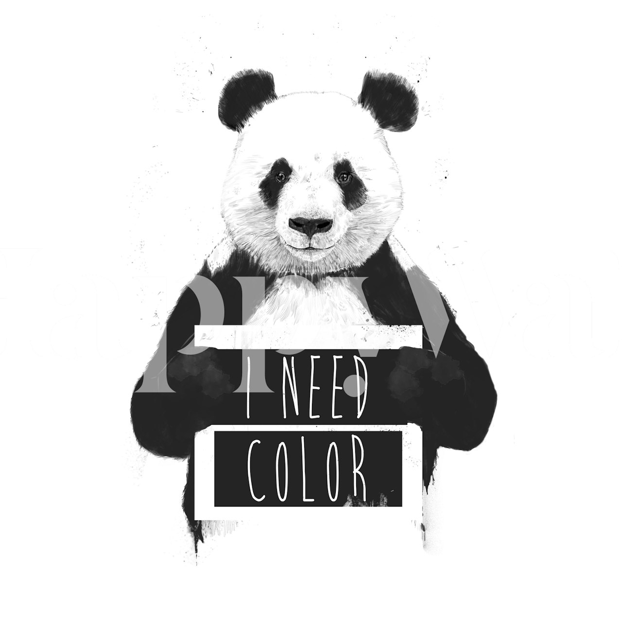 Black and white panda holding a sign that says I need color wallpaper