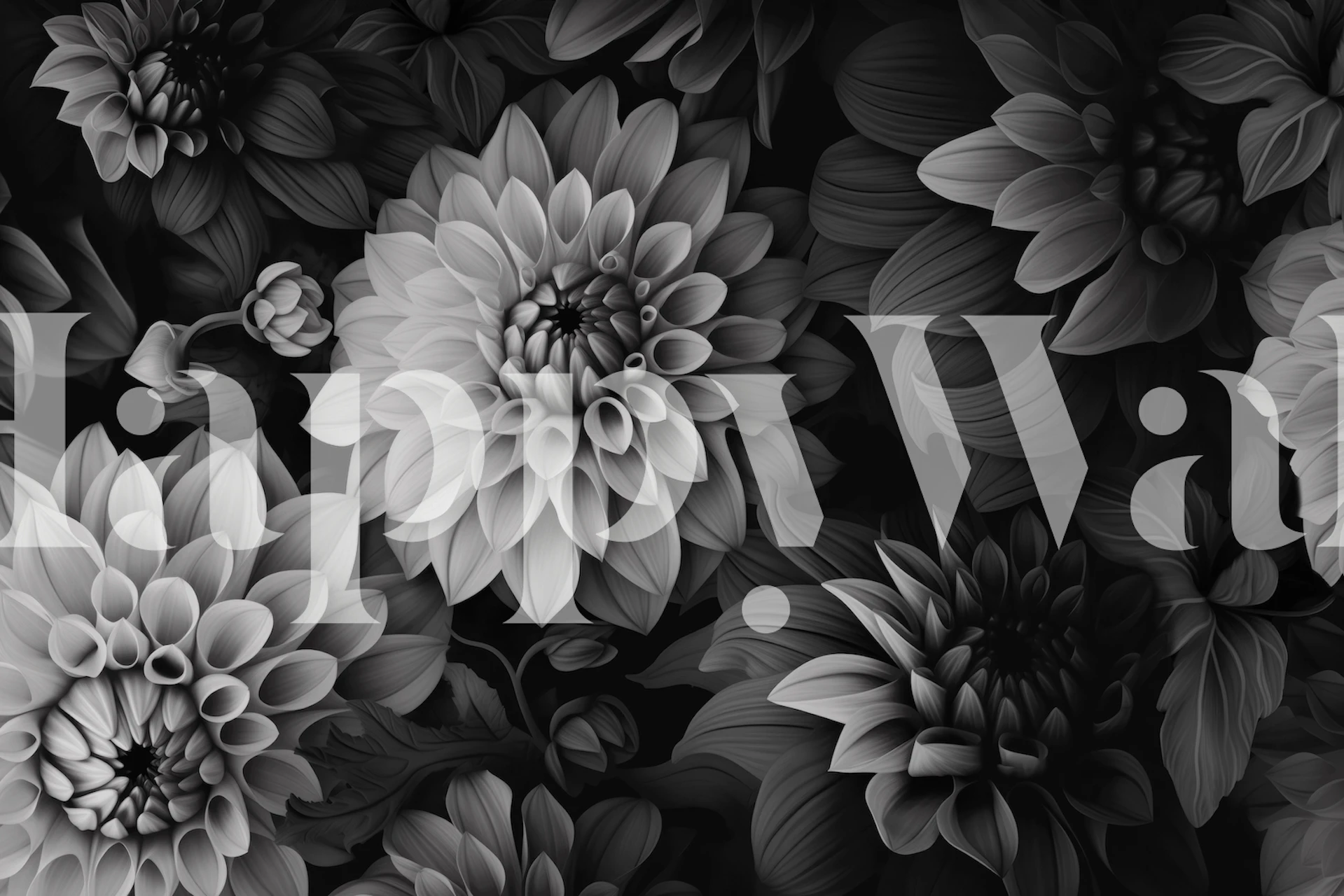 Black and white dahlia flowers and leaves wallpaper
