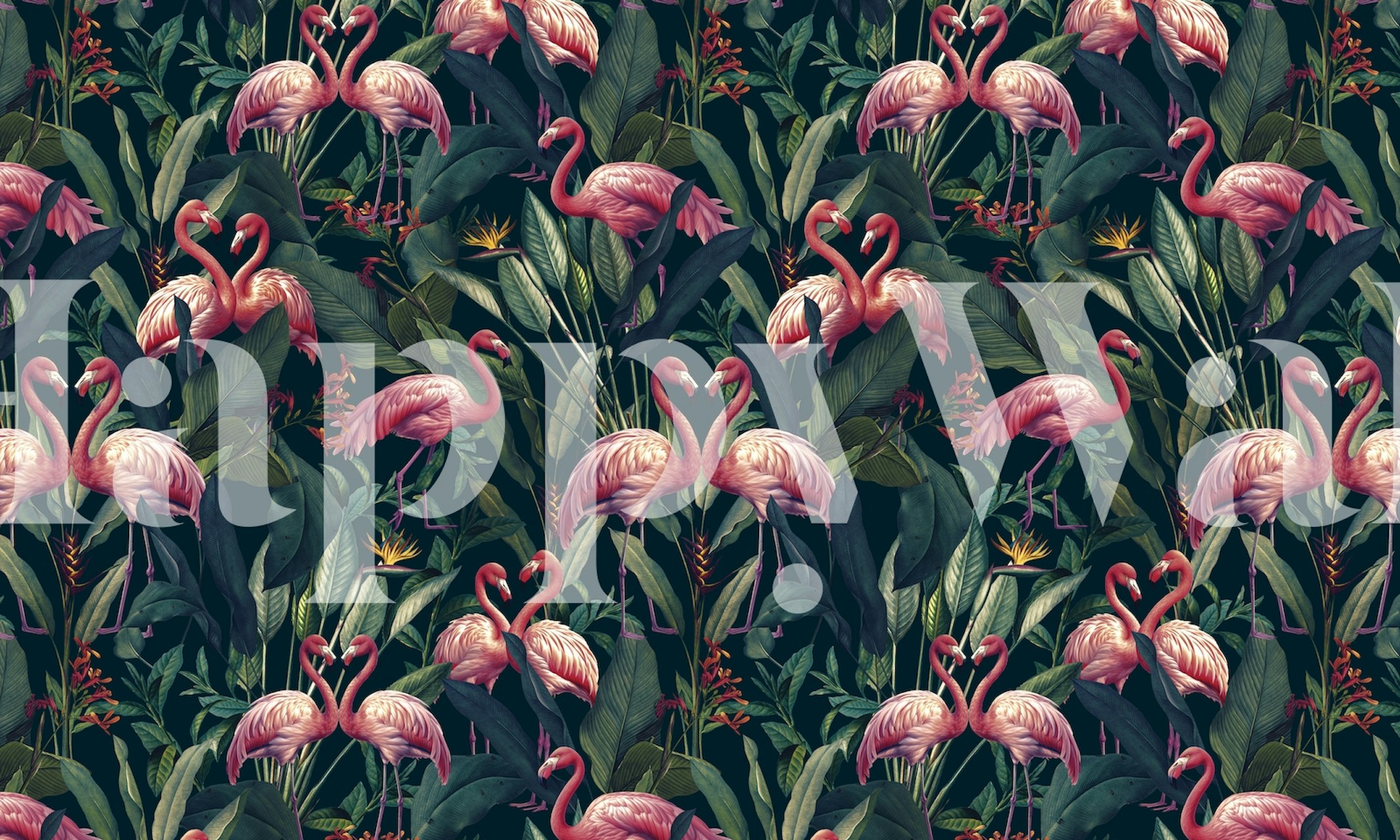 Tropical Flamingos I wallpaper in a room