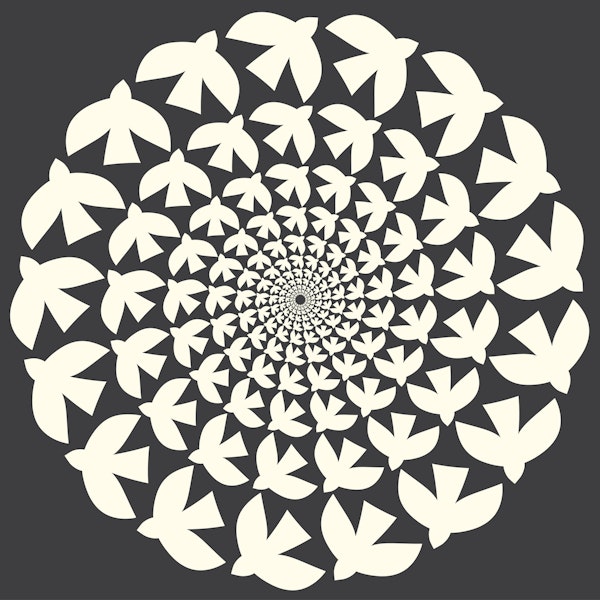 Big Bird White Bloom