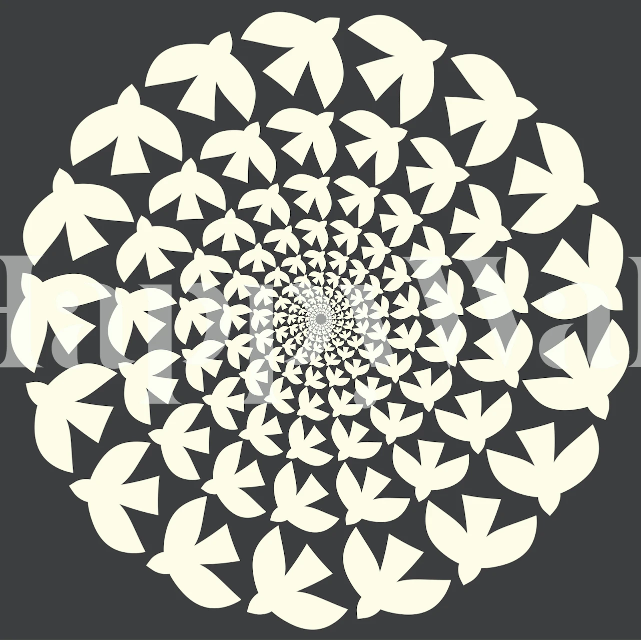 White birds forming a spiral pattern on dark background wallpaper