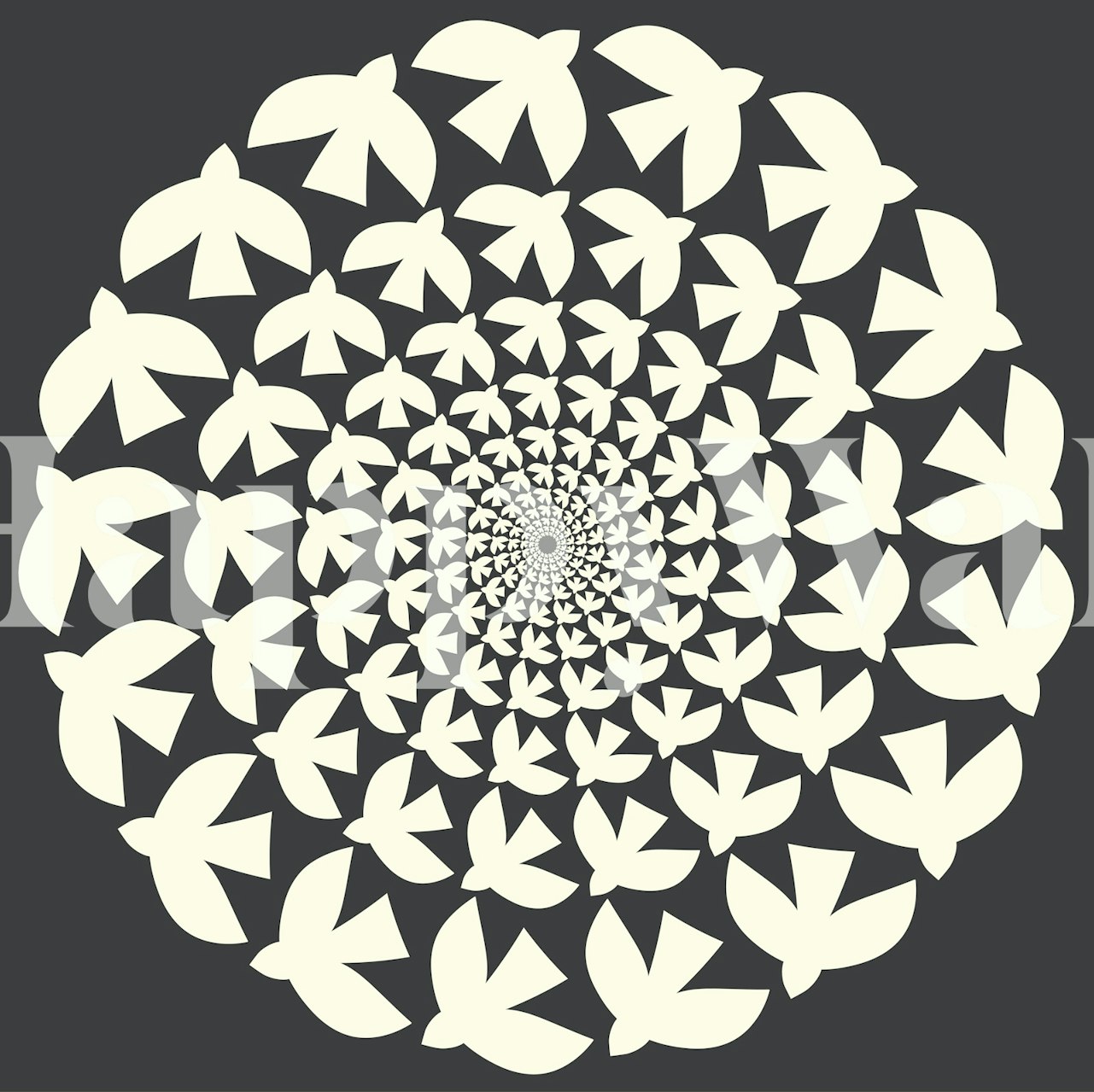 White birds forming a spiral pattern on dark background wallpaper