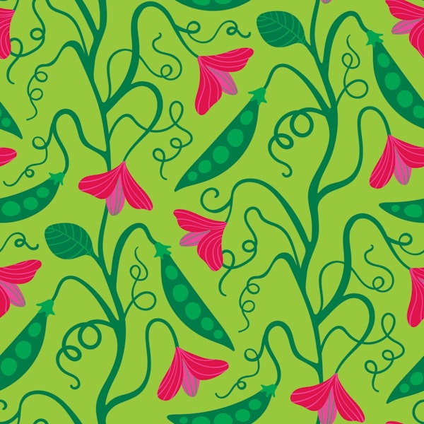 SWEET PEA Spring Climbing Vine Floral Brights