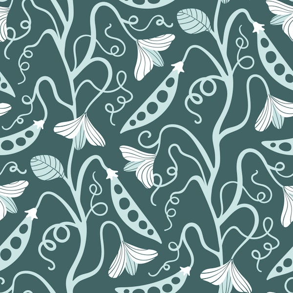 SWEET PEA Spring Climbing Vine Floral Pine