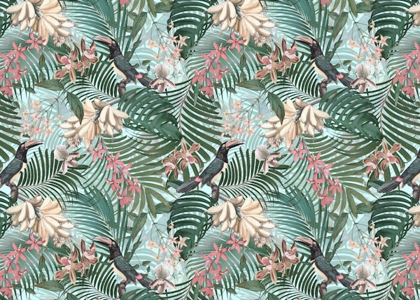 Tropical Toucan Birds Jungle