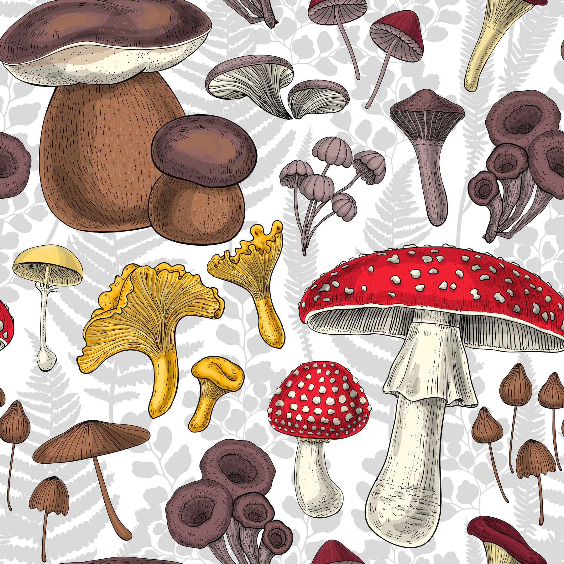 muscaria