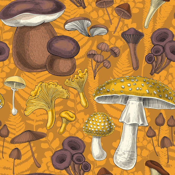 Wild mushrooms on mustard background