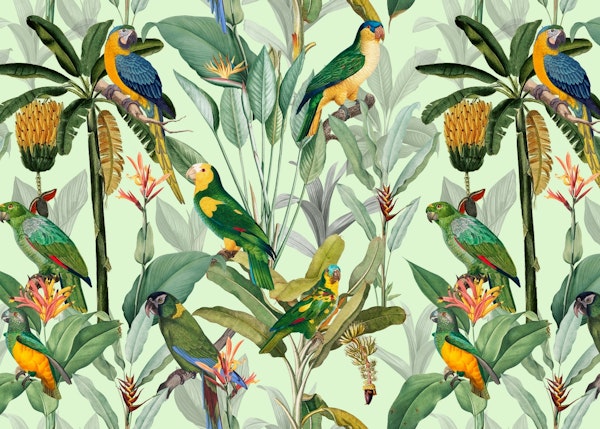 Bananas and Parrots Jungle