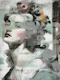 Madame Baroque Floral Canvas